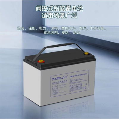AGM12V100AH Ris Lead Acid Maintenance-Free Battery for Solar Energy Storage and UPS