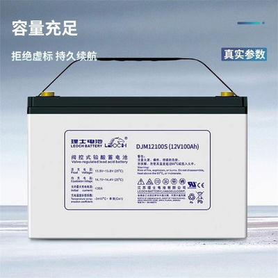 AGM12V100AH Ris Lead Acid Maintenance-Free Battery for Solar Energy Storage and UPS