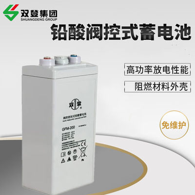 Shuangdeng GFM-200 Replacement Plate for 2V200Ah Lead Acid Battery Total Height 365mm