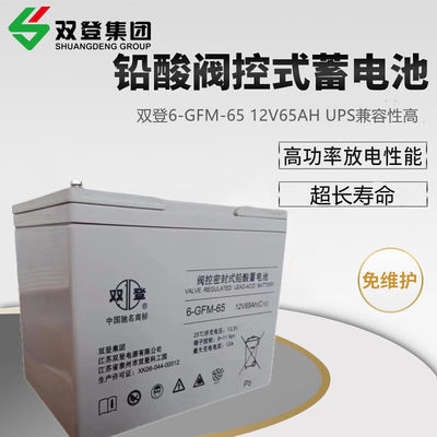 Shoto/6-GFM-65 Lead Acid Battery 12V65AH for Communication and Solar Energy Storage